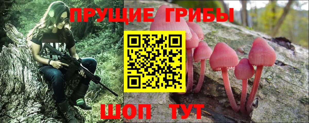 купить  сайты  Галлюциногенные грибы ЛСД  Вход с VPN  Галлюциногенные грибы Psilocybe  Красный Сулин 