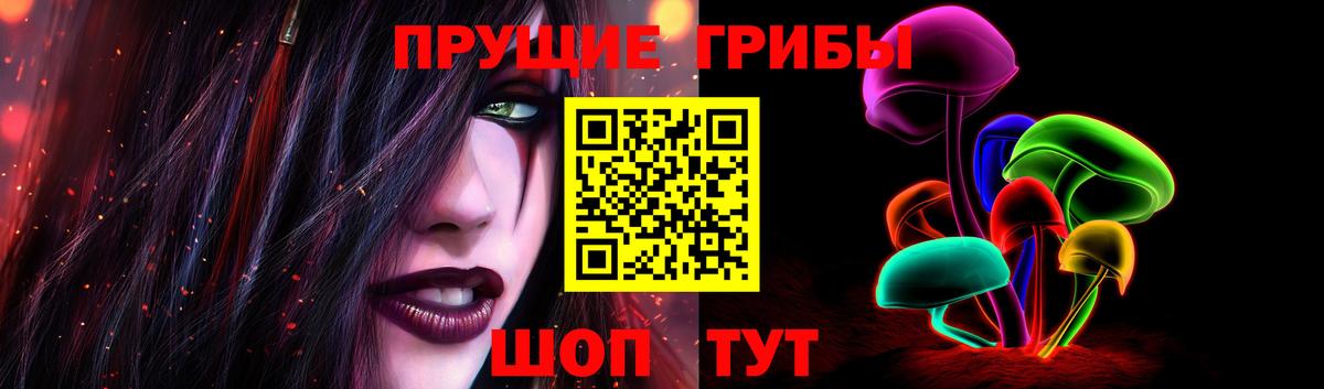Галлюциногенные грибы Cubensis Красный Сулин
